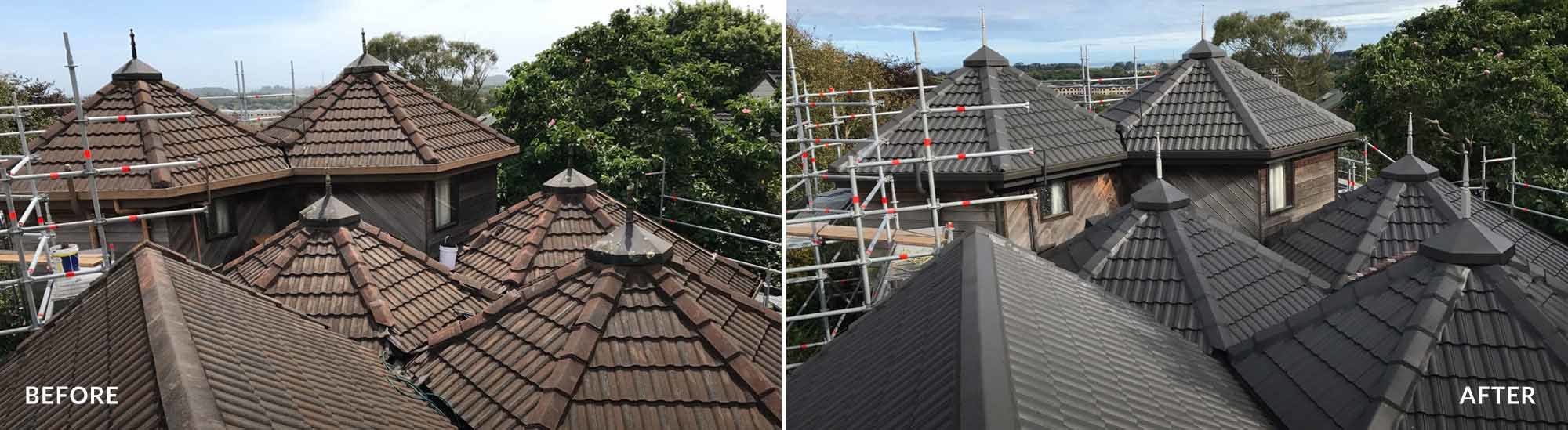 Roof coating Kapiti Kowhai roofing Johnsonville Manawatu